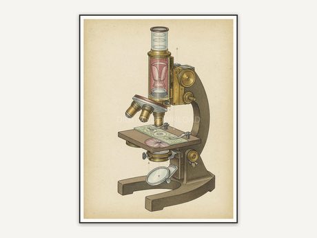 vintage microscope diagram in muted earth tones