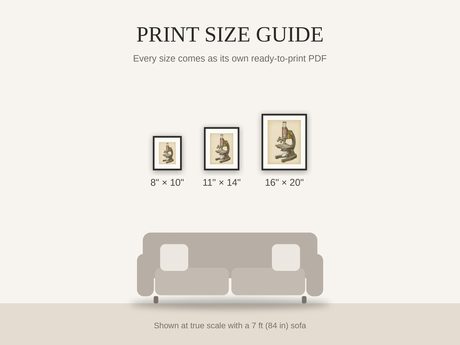 Print size guide showing 8x10, 11x14, and 16x20 framed prints at true scale beside a sofa