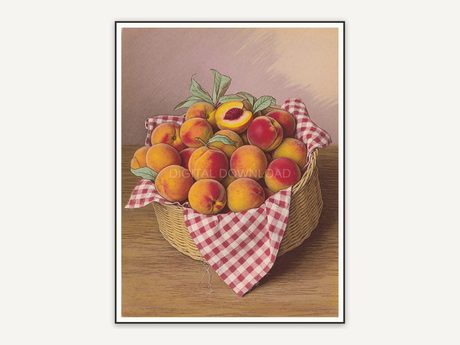 vintage basket with peaches print