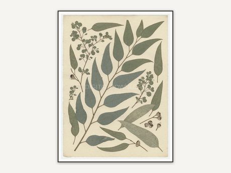 Pressed eucalyptus botanical print in muted earth tones